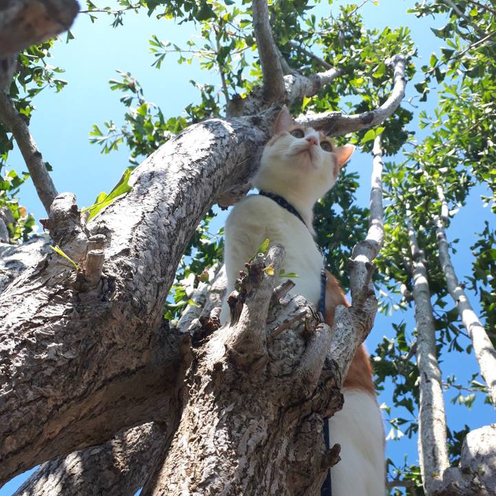 3cec2fc4 ec84 4f7c 9781 d2e1d6a383e3