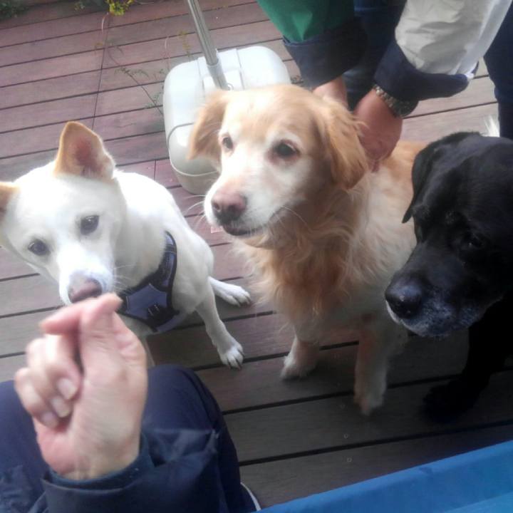 3cecd758 3fbc 4810 99b6 f61acfbcfee2