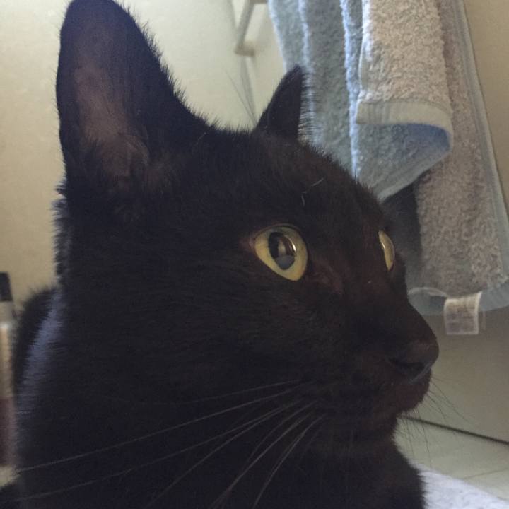 3cecf345 9468 4fd0 8bdf 09b0b1d983b7