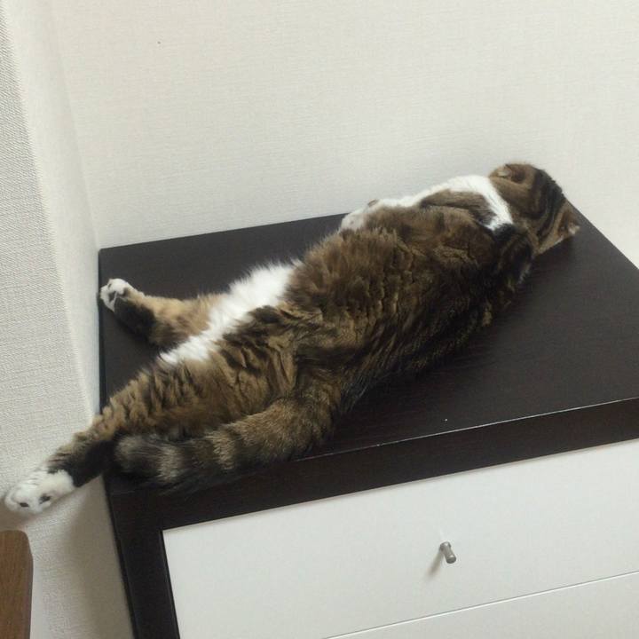 3cee2323 19b5 4b33 b4f3 97ece5cb74b8