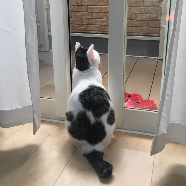 3ceef2a6 e2f3 4e95 9560 c05811e42161