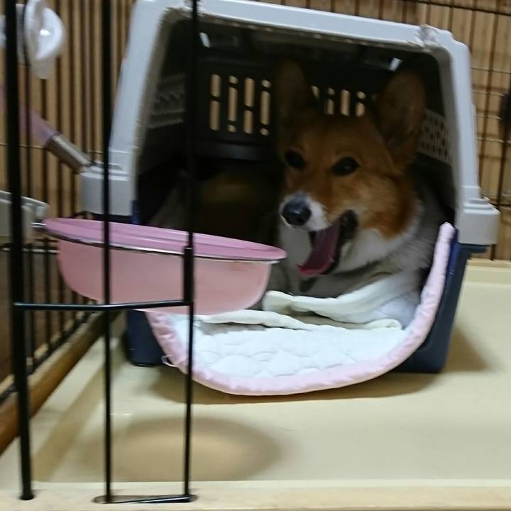 3cef242d 2499 4460 9b8b 55b4376b2ee0