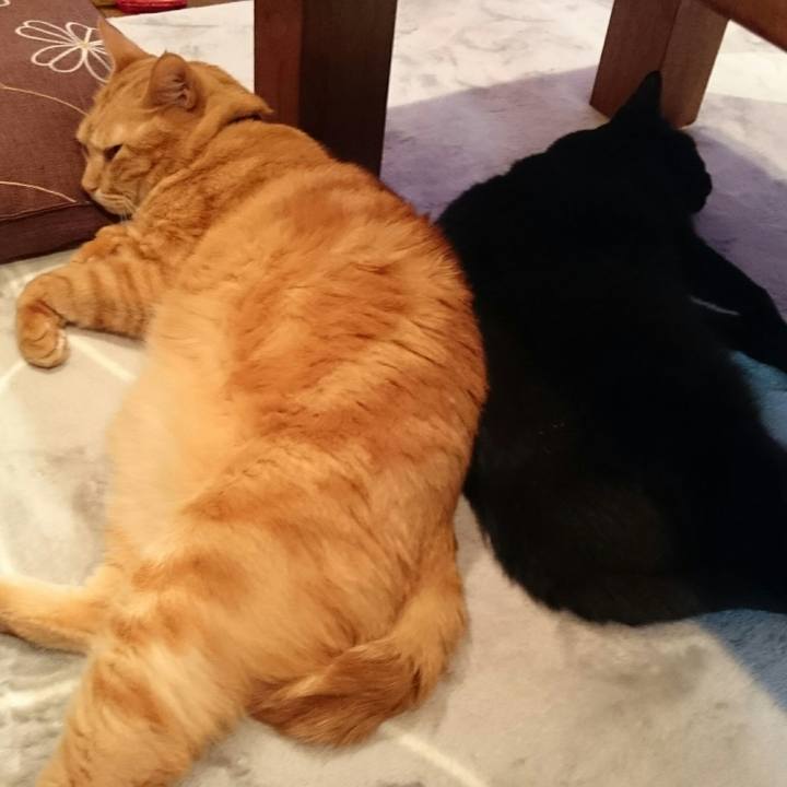 3cef54bd 3642 49ca a7ff 0bf31297bb75