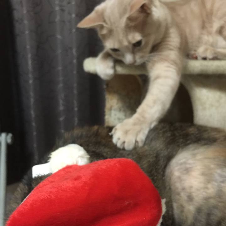 3cef91c5 30f3 4591 8882 88e094257382