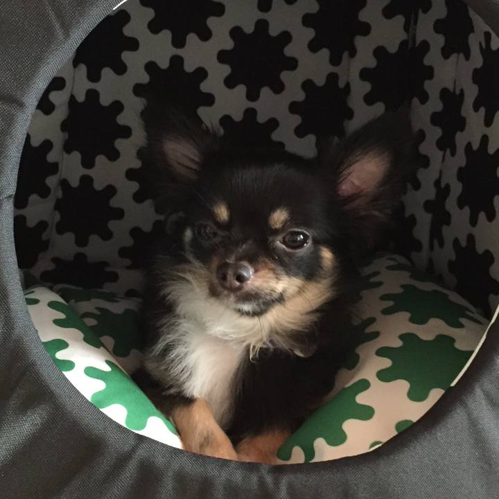 3cefaa8c 5192 4b87 ae87 fe7e1ec9a3e5