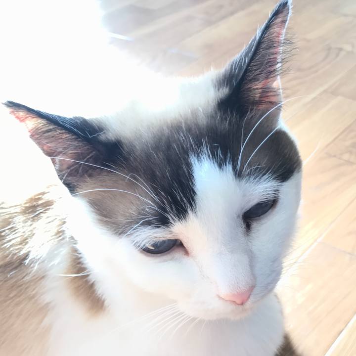 3cf00639 c3a4 4500 8f11 d290917d26e8