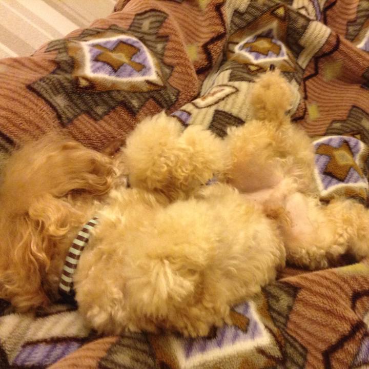 3cf0a836 ee22 4875 87b6 c6bc455a3a9c