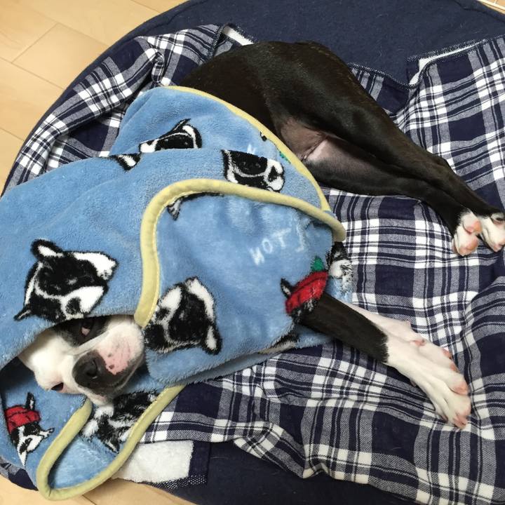 3cf0df10 f15f 469c 9d9e 01e517c380d3