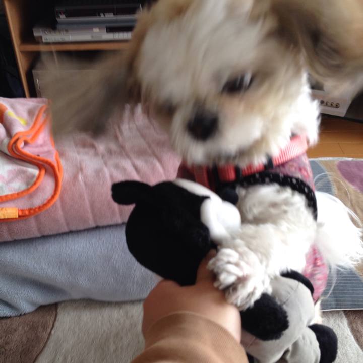 3cf12aed e236 407f a87d 01a28733385c