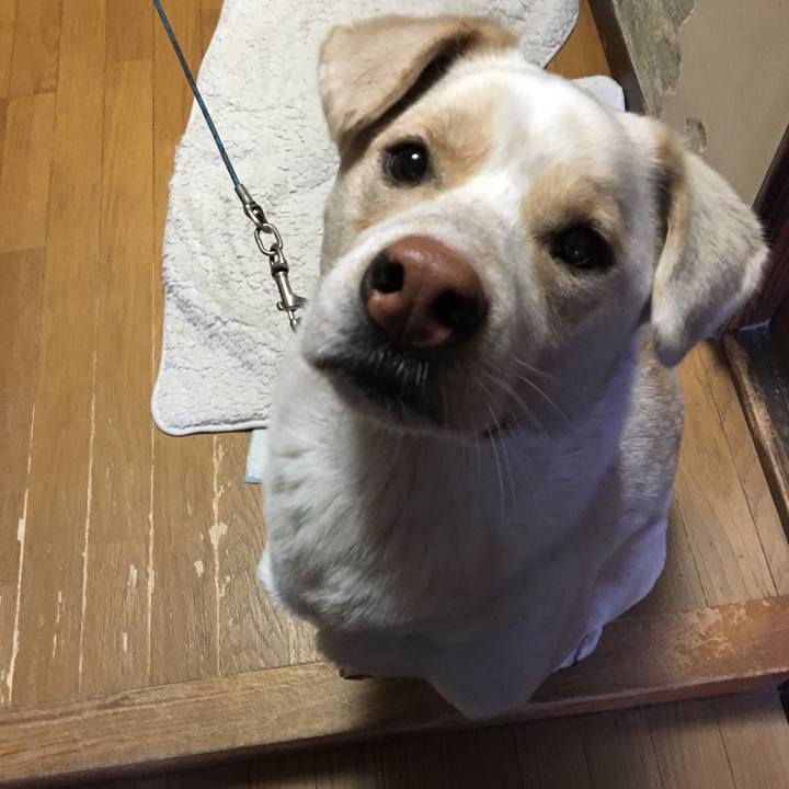 3cf1334d 171a 43c5 a081 8da669eff229