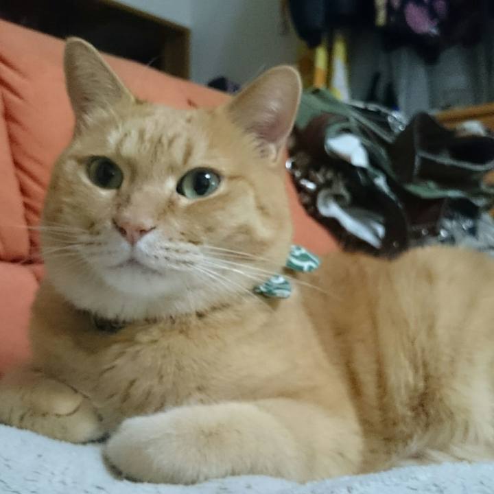 3cf167dc 19f0 4ad3 9b61 0ee15bb940a8