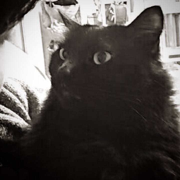 3cf1c017 aac8 408c b462 c5ffd6855edd