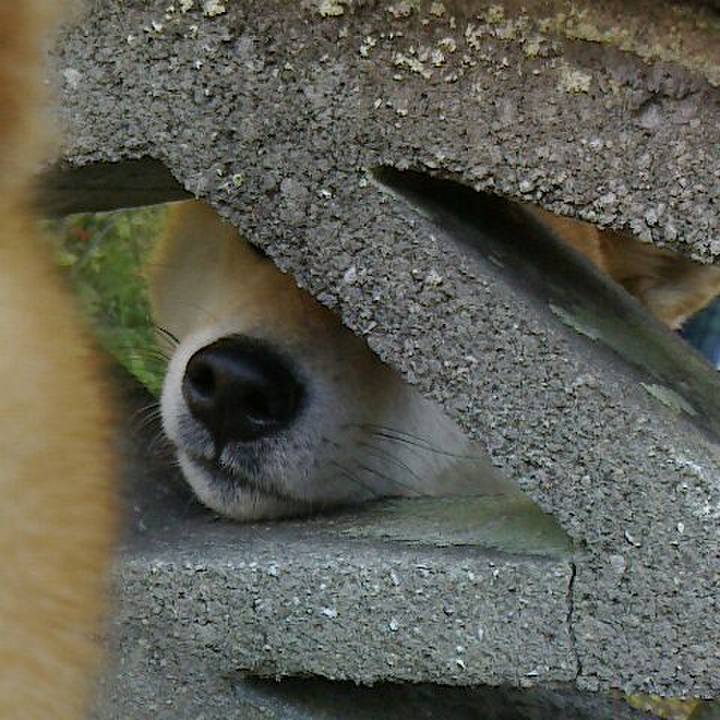 3cf2462c 2e24 4f6e ba4b f753ee029aa0