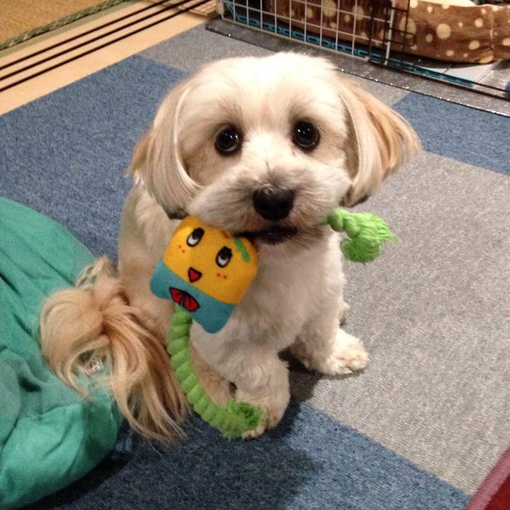 3cf29ee3 152b 4a13 b618 f5a808f12b4e