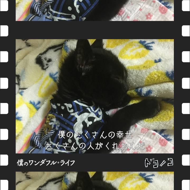 3cf37052 e115 4d76 a557 777dfb5c1077