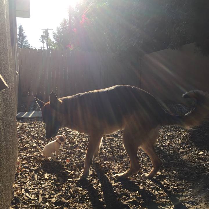 3cf37755 0921 4bcf ae26 c40c7be6cac3