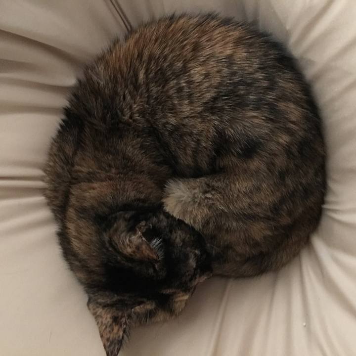 3cf3d60c 417a 4b3d ac45 792904ab5fb5