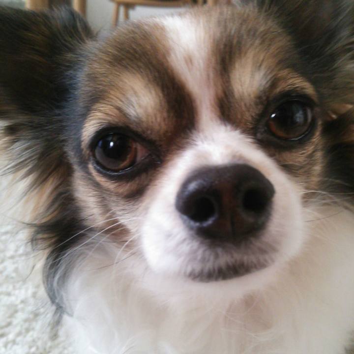 3cf4398c b7cf 46f3 9306 7511bda27b36