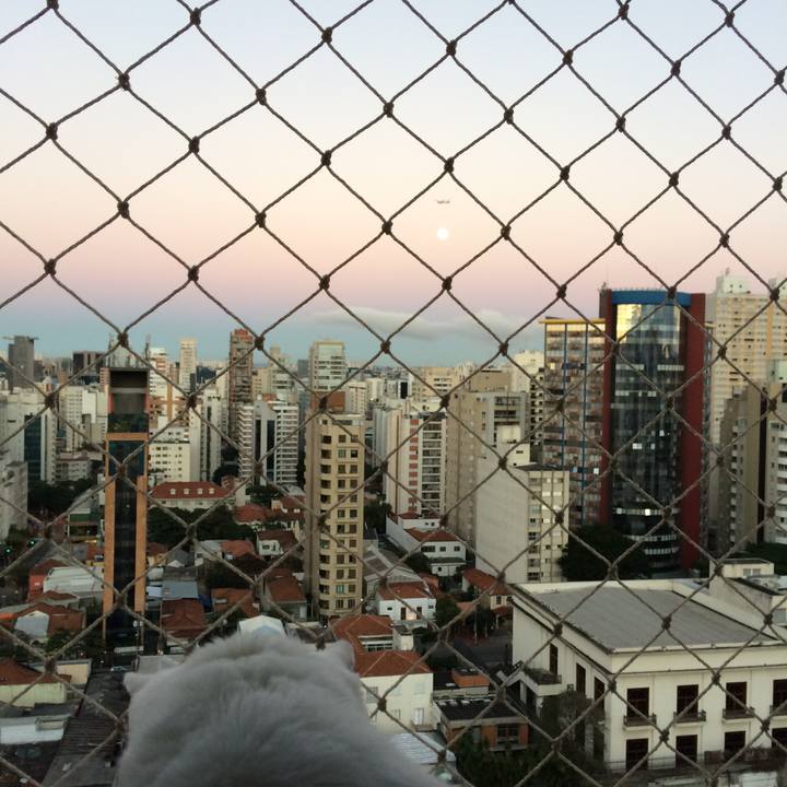 3cf4509d c3f5 4880 ae6e 6c587da1c5a7