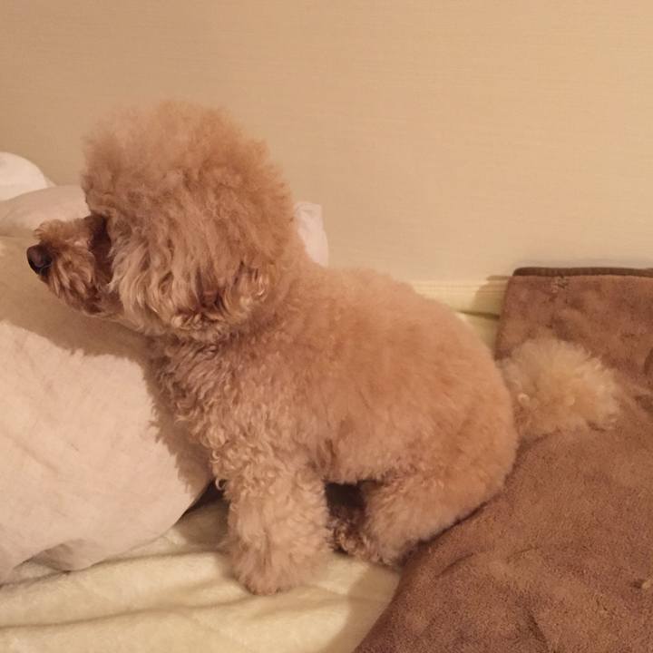 3cf488f9 4595 49d7 a34f 83b6f29e06f5