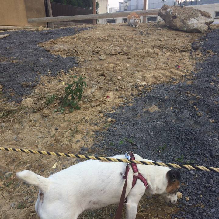 3cf59779 ea3d 42c0 858e 36cf22a3de57