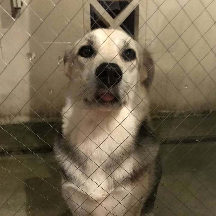 3cf5d794 2aec 485e 9341 37ed42ba7a2d