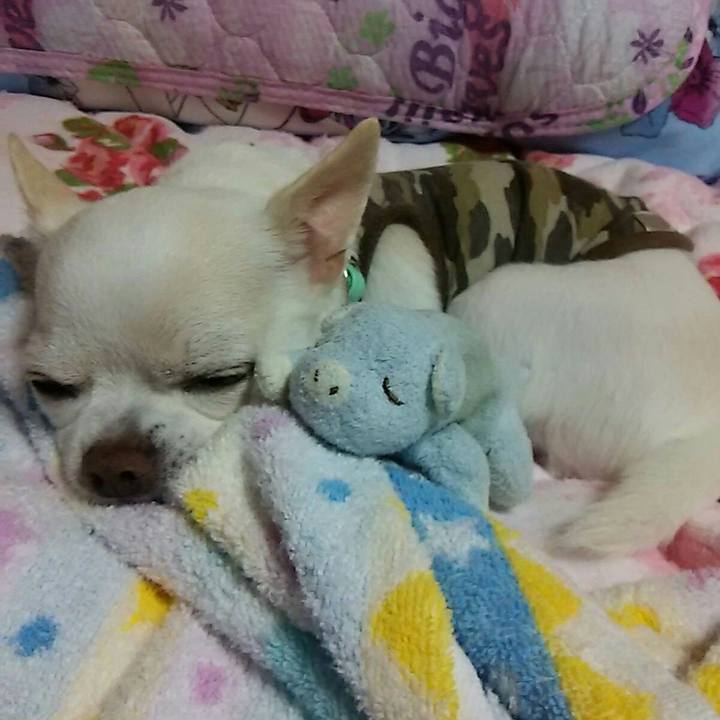 3cf5f0f3 1c1d 41fc 9221 7586b44b6436