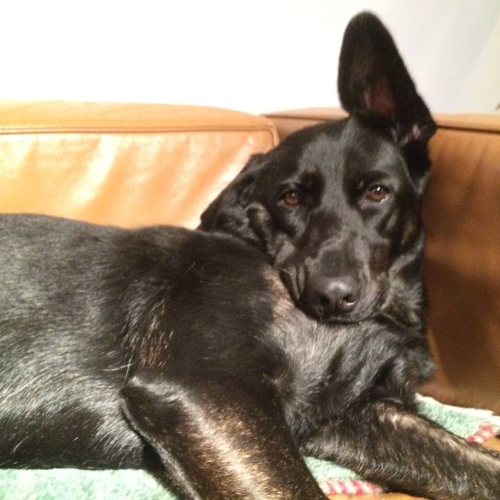 3cf5f16e d73b 45bc 871e 45a724416bb2