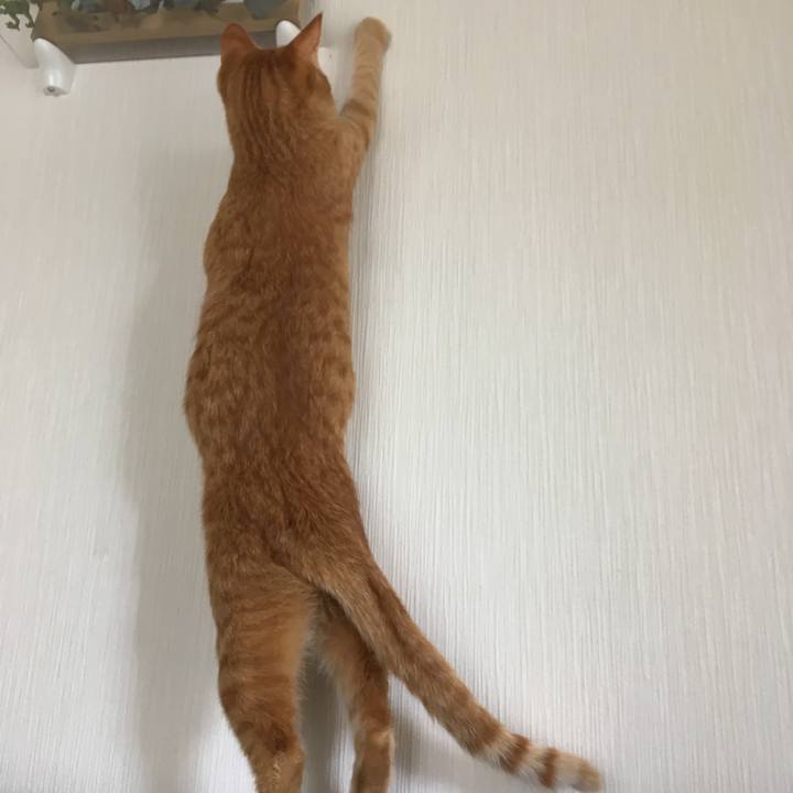 3cf67759 114c 4180 bb70 177126918e14