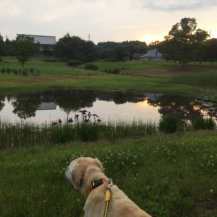 3cf7268f 9f8b 4efa 83f4 fb813f4b8104