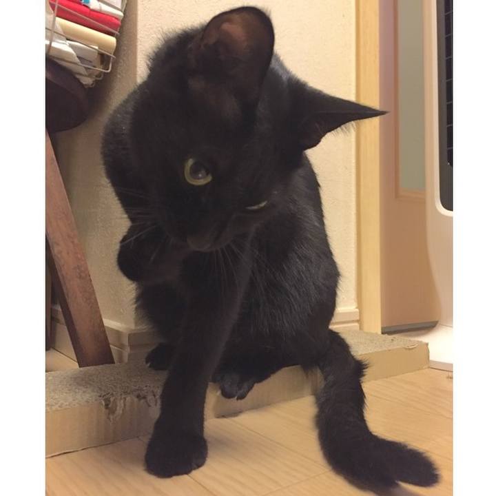 3cf73be2 b292 48a8 8021 b3d471a63cf9