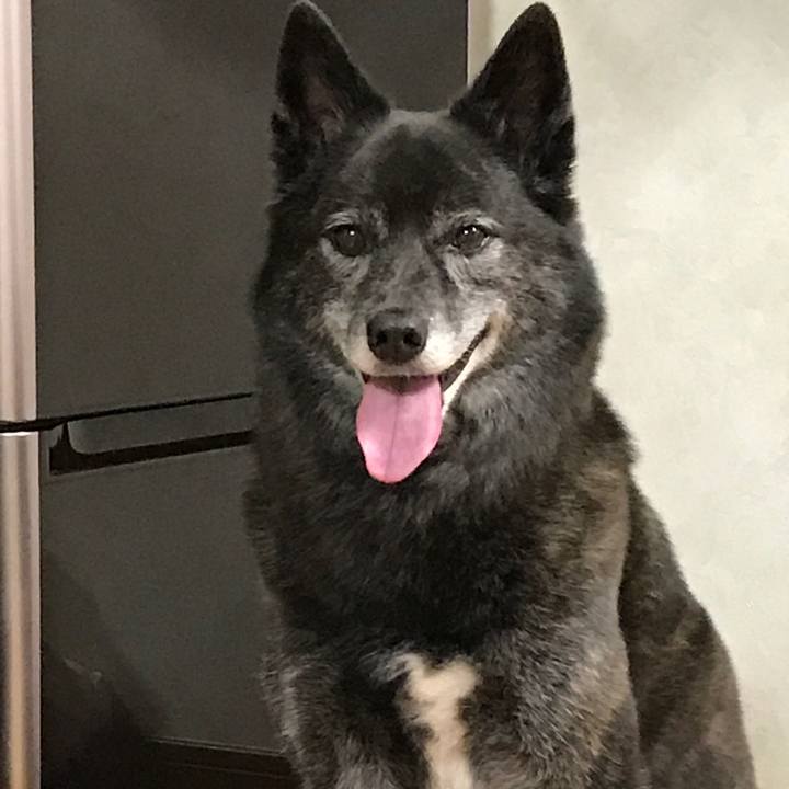 3cf77022 11aa 42a7 9228 000ec40b4d53