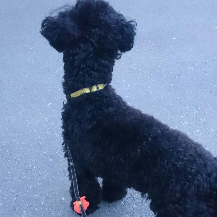 3cf7a10a 542d 4252 b6ac d56d746ef9a6