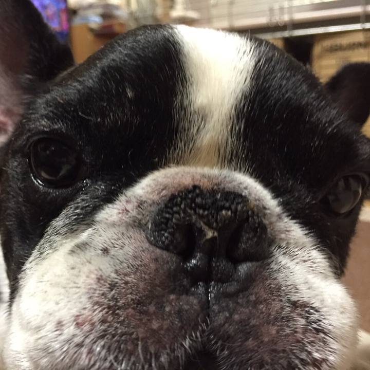 3cf7b95e f879 426c 91b4 ba75da3abb35