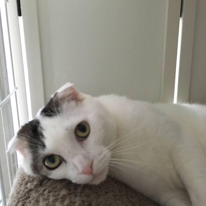 3cf82abe 4bfe 41db 805d 163e73521409