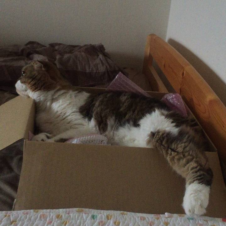 3cf88bc4 9d74 4cd8 a63e 4d53fb66b53a