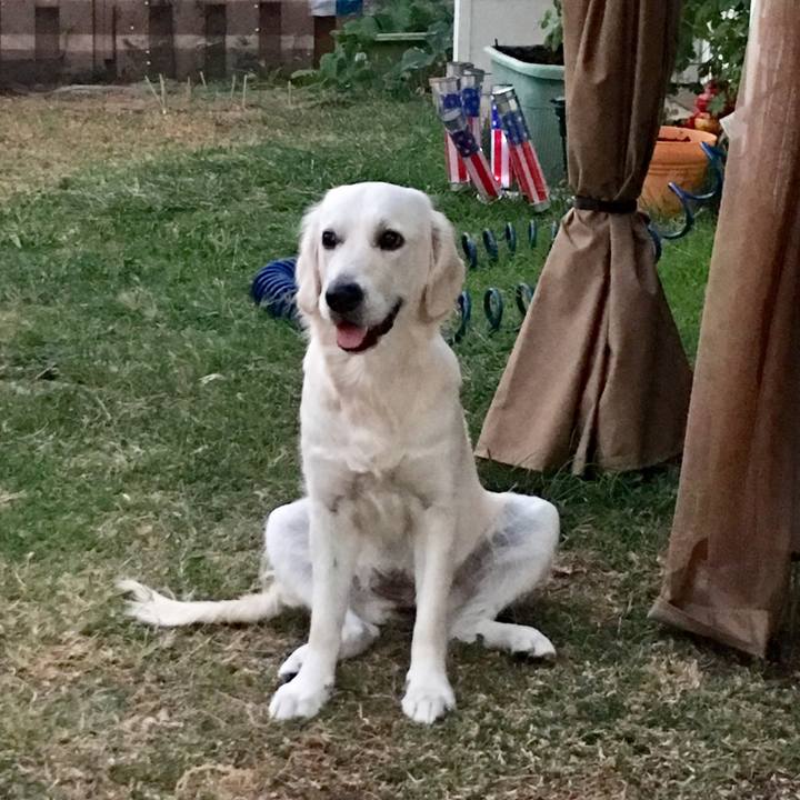 3cf91648 7799 4724 85d1 90b5bd4095c2