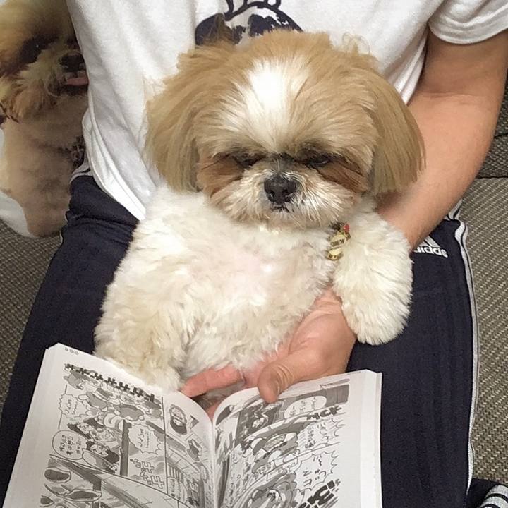 3cf98066 1d08 4449 903c 8d5ced8fd621