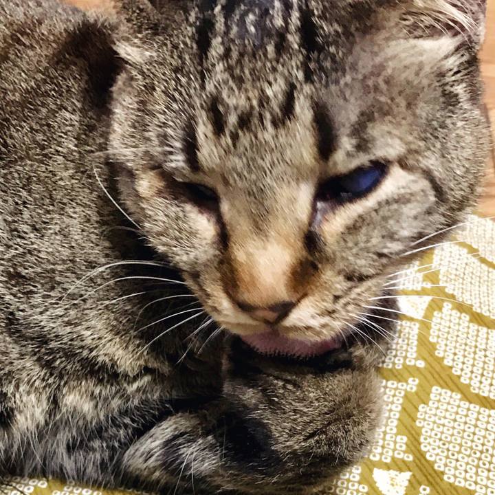 3cf9ee0b c5ab 454a b234 be898a6051b4