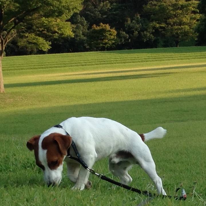 3cfa9de1 e953 4172 b702 c96e3e5f6f95