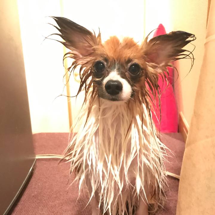 3cfb227c a49c 405f 942e 12e138deab7f