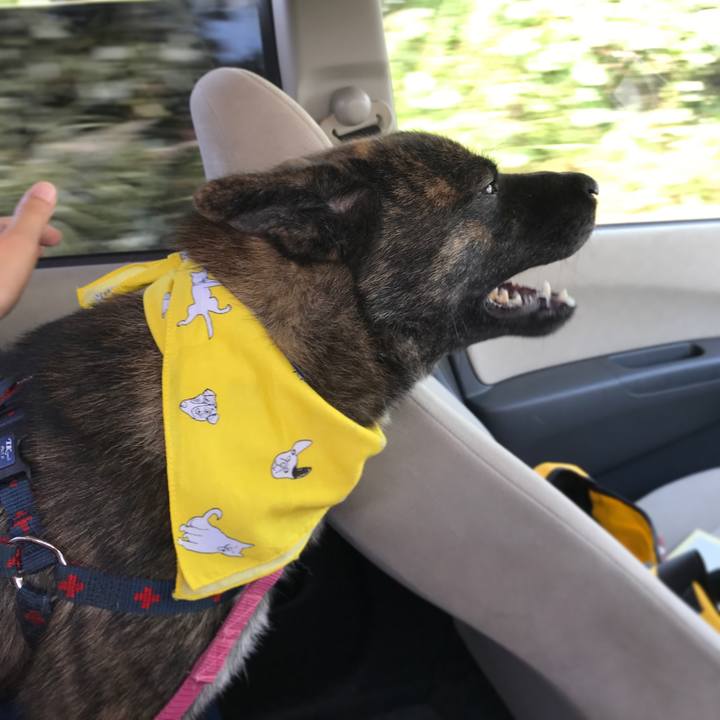 3cfb2a6a 705d 4cf6 9739 27c4d81fe3b0