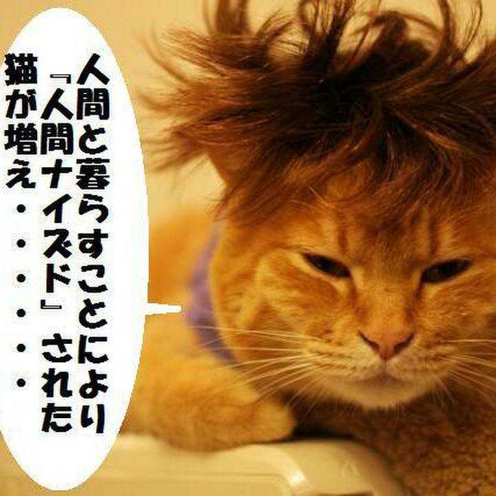 3cfb53de 37bd 411e 9296 7846e145da73