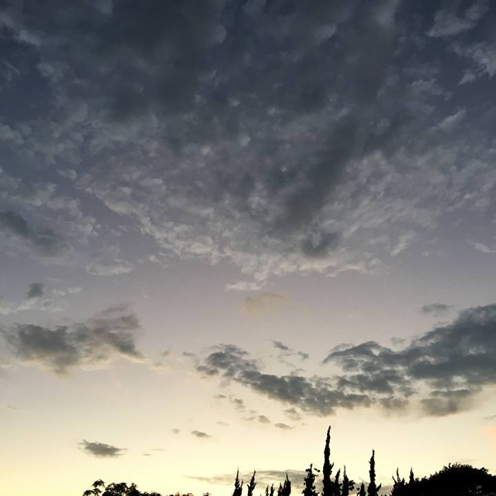 3cfb76dd 3829 4c22 bccd a778224a14f6