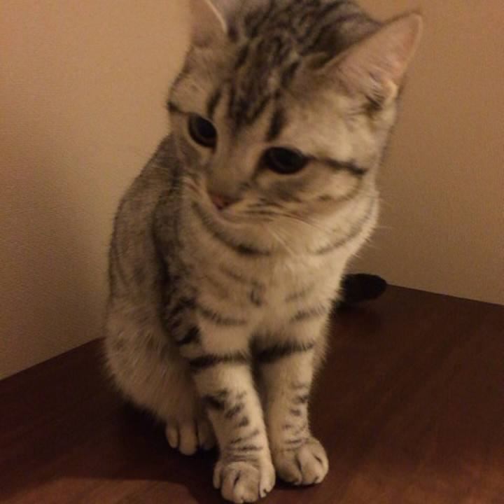 3cfbe944 a2ab 4ed4 8e0d 80df632f57aa