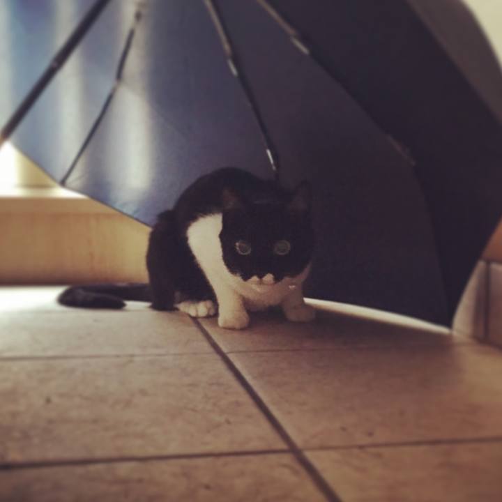 3cfc065d 93ff 4770 822c 333d8ca589e1