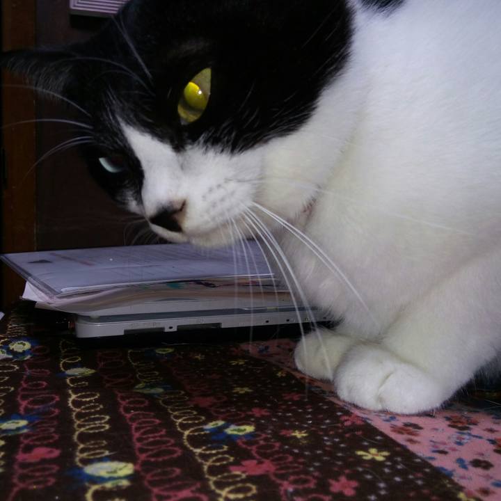 3cfd658f 3e5c 4ec7 ad60 56c6f05d19d1