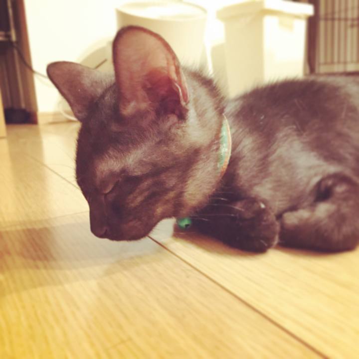 3cfda59c 30c9 41bf b95b cf22be09a8a0