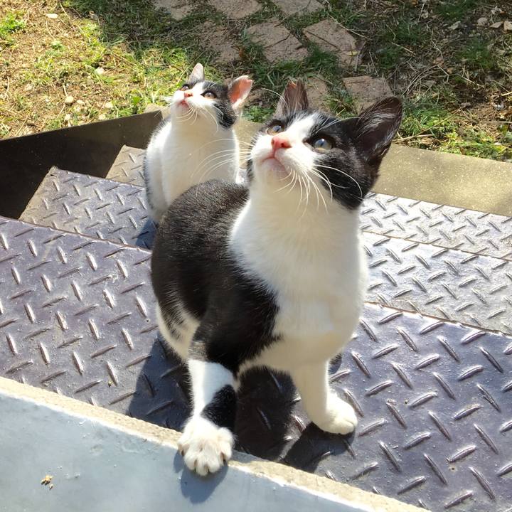 3cfe3bbd 90d3 4b47 8e81 fc55acb1224a