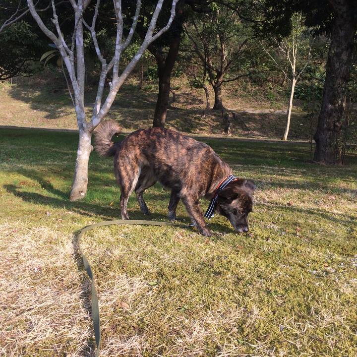 3cffc610 25c5 4481 be26 9b8d7e4723e2